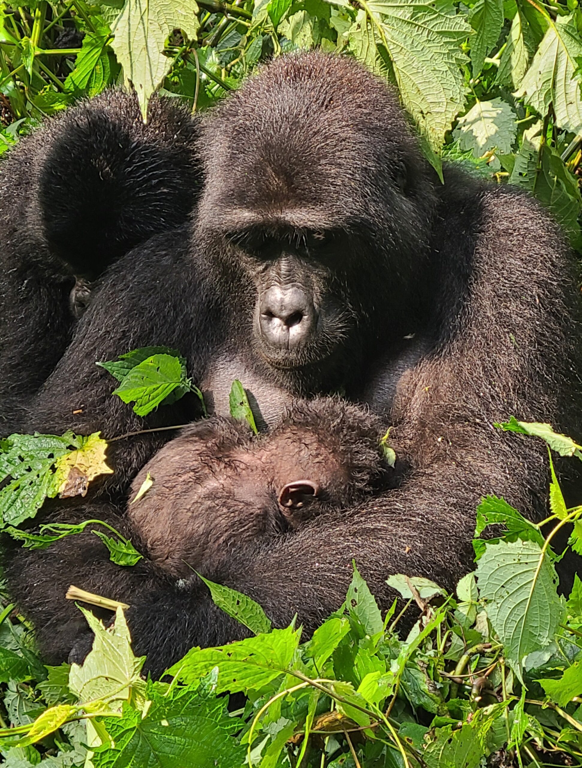 Before the Trek: How We Prepped for Uganda (and What You’ll Wish You Knew Sooner)