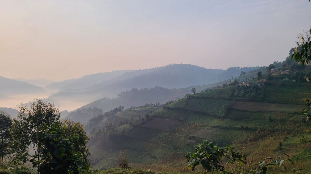 Morning fog over Bwindi Impenetrable National Park