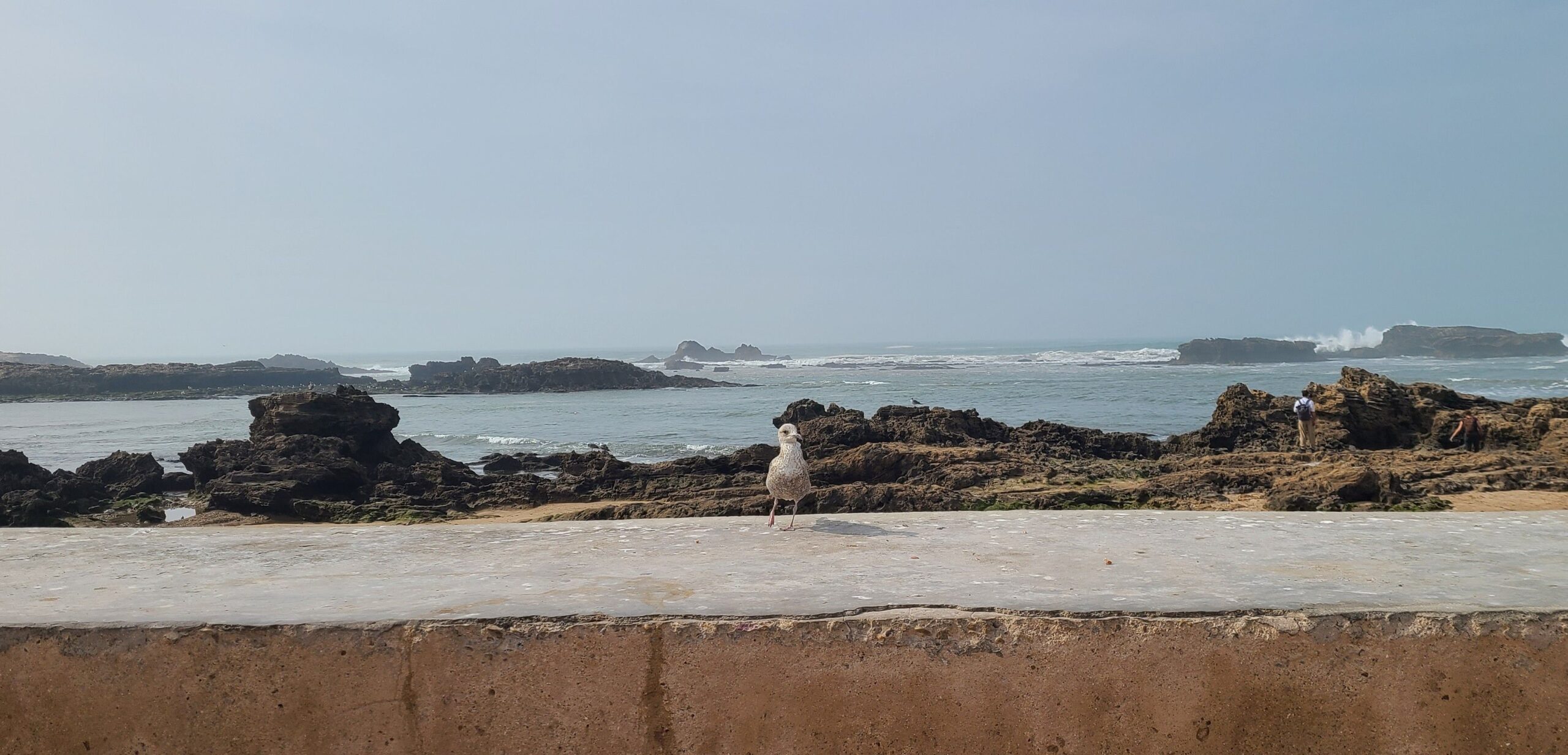 Essaouira seashore