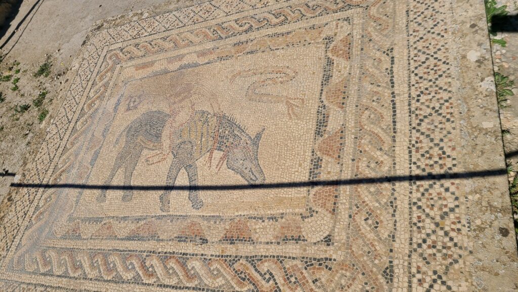 Volubilis mosaic