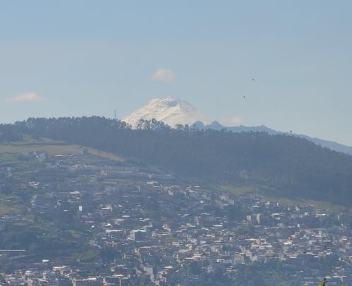 Cotopaxi volcano in Ecuador Andes with snow peak
